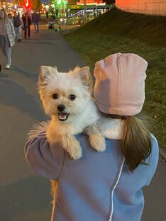 История о маленькой Молли 