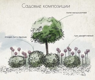 Садовые композиции