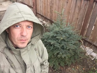 Черенкование и размножение ГОЛУБОЙ ЁЛКИ и хвойных растений