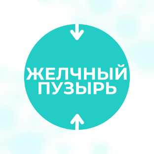 Всё о желчном пузыре 
