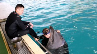 Дельфинотерапия - Крым.