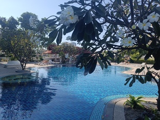  Вторая зимовка. Паттайя. 2025-2026 гг