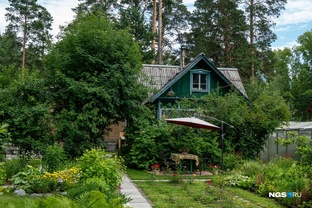 дачные советы