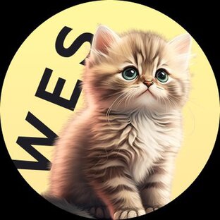Кейсы WES
