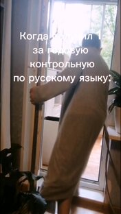 Мемы
