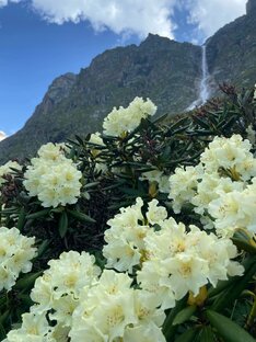 Путешествия как способ обучения