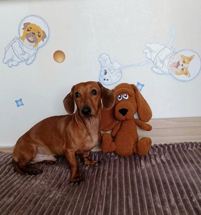 Жора и его приключения