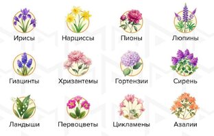 Опасные растения для собак 