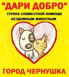 Приют "Кошкин дом" г. Чернушка 