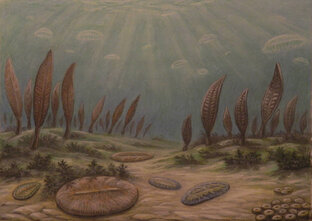 Протерозой