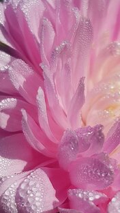 Поэтические штрихи