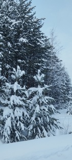 Шкатулка со стихами