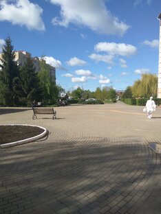О рассеянном склерозе