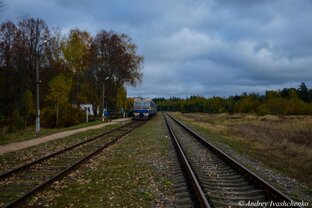 Железнодорожная глухомань Беларуси. 