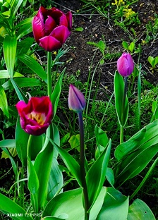 Истра  и Кубинка, путешествие 2025