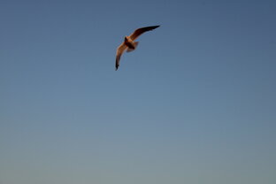 Виды с высоты. 