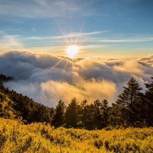 Философия жизни, этика и свобода воли