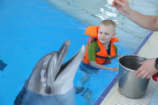 Новосибирский зоопарк🦍🐯🫎🐧🦚🐊