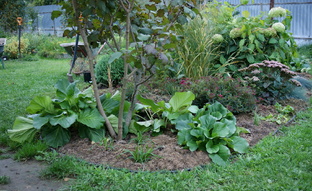 Про качели и Калиновый цветник