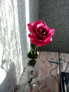 Вот зачем нужна муза