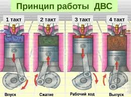 Экология 🌏