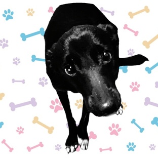 Игры, конкурсы, вопросы