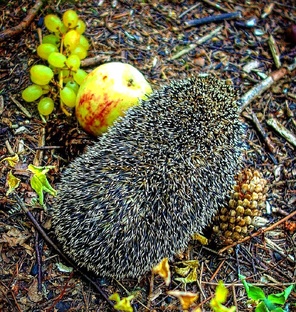 антология дружбы 