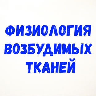 Физиология возбудимых тканей.