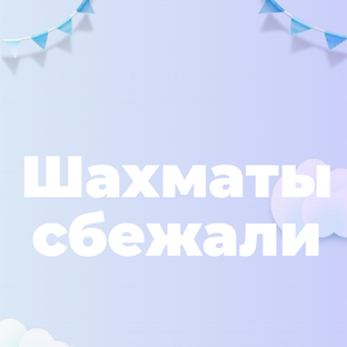 Шахматы