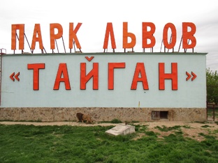 Парк львов и тигров "Тайган"