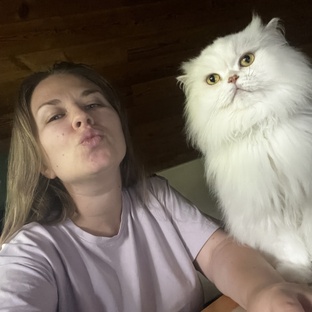 Обо всём и ни о чём