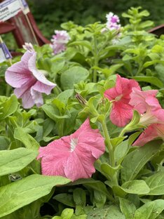 Марафон «10 ЭКОПРИВЫЧЕК»