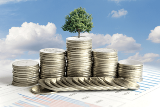 Инвестиции