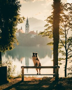 Придумайте название