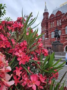 Москва многоликая