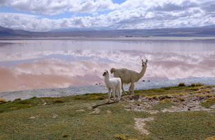 Перу-Боливия. Древние города, треккинг в Мачу Пикчу, Титикака и солончак Уюни.