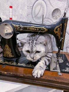 Швейные короткометражки