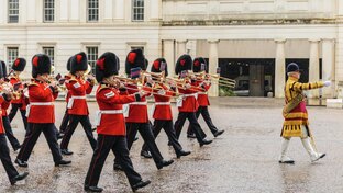 «Райский сад» Борреля