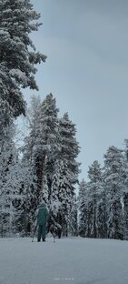  Зима ❄ Краса 