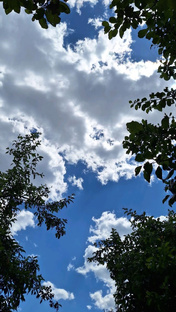 Небольшие рассказы 