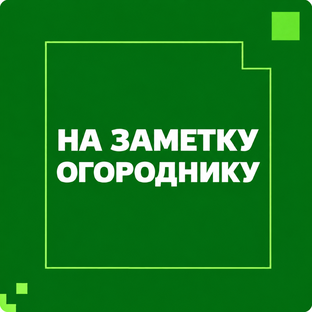 На заметку огороднику