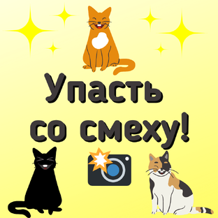 Угарные фото, видео, мемы, комиксы