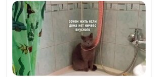 Взвешивание