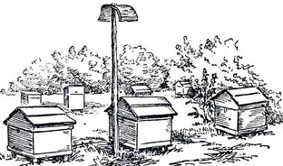 Подборка видео практического пчеловода