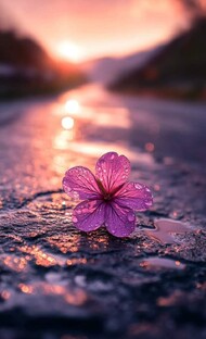 Притчи, цитаты и мудрые мысли.