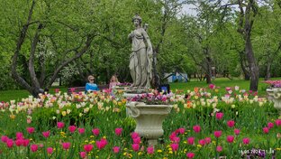 Весна в Коломенском 2024