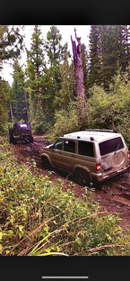 Путешествия 🧳 