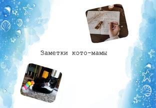Заметки кото-мамы