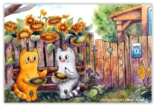 Разноцветные истории