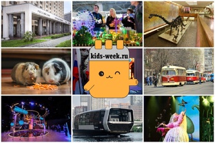 Куда сходить с ребенком в Москве